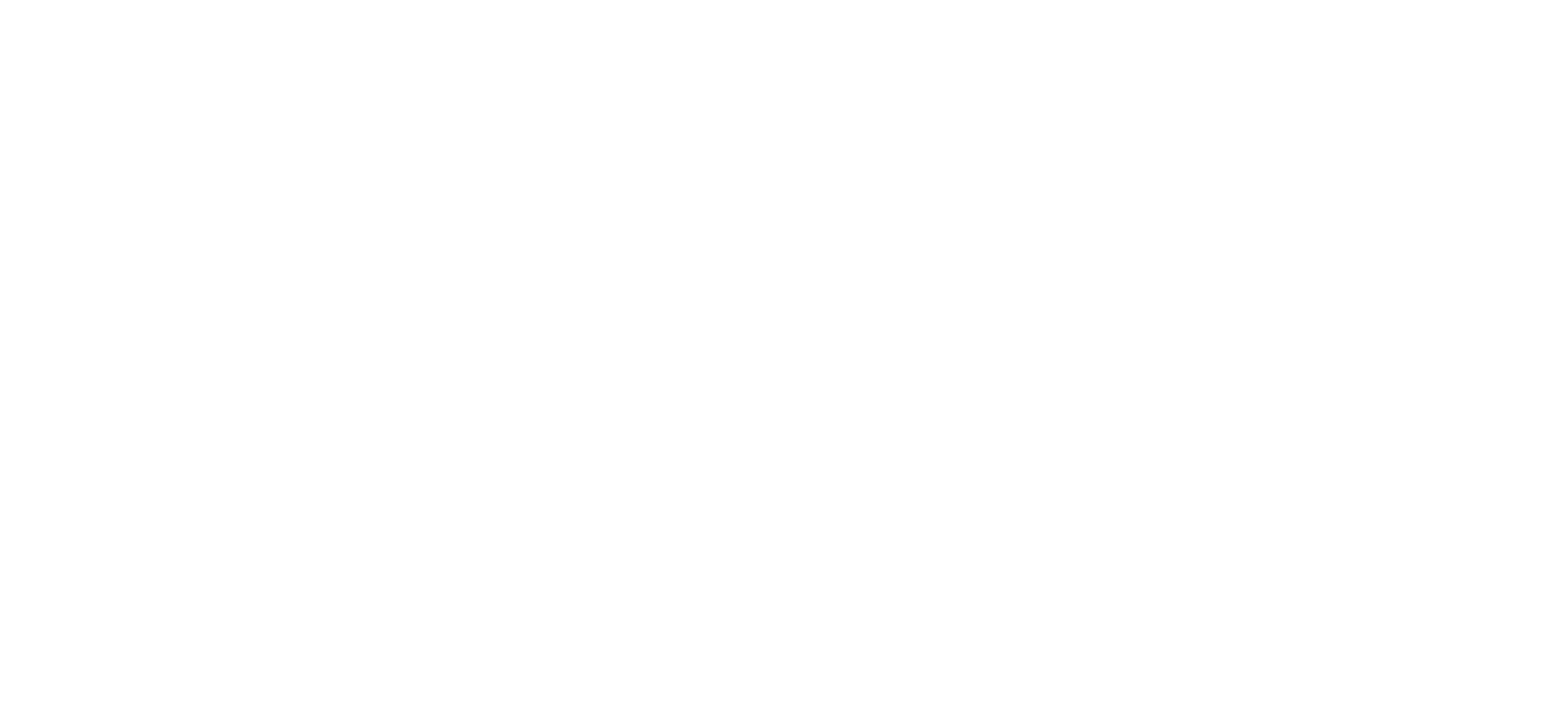 Team Florida Logo